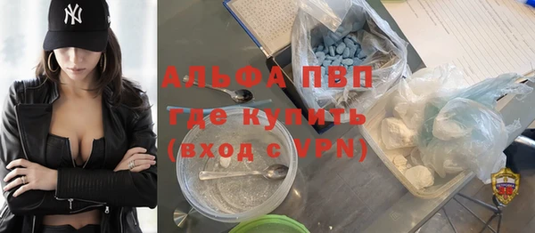 индика Алексин
