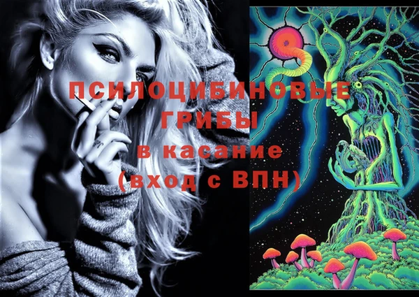 стафф Алексеевка