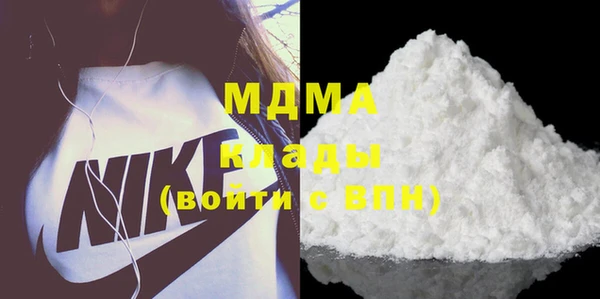 индика Алексин