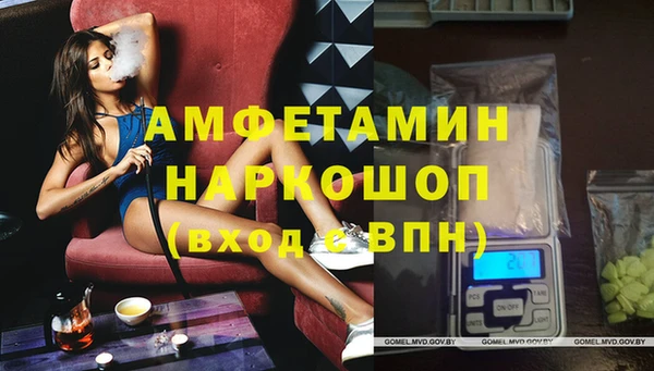 индика Алексин