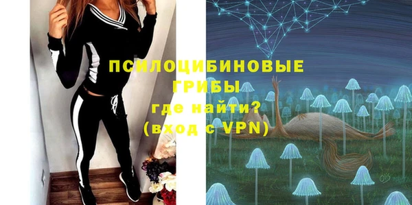 индика Алексин